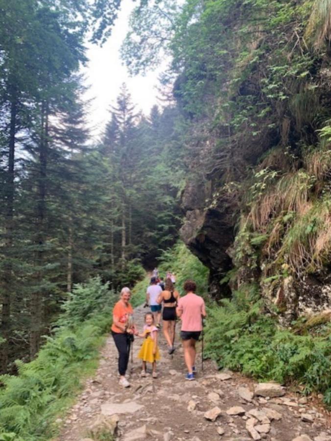 Appartement Tres Agreable Dans Belle Residence, Classe 3 Etoiles Par Le Comite Departementale Du Tourisme En Haute Garonne Bagnères-de-Luchon Esterno foto