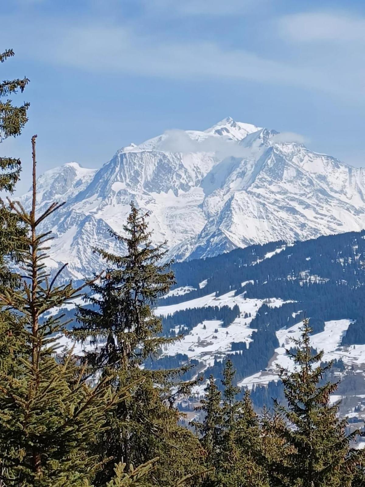 Appartement Tres Agreable Dans Belle Residence, Classe 3 Etoiles Par Le Comite Departementale Du Tourisme En Haute Garonne Bagnères-de-Luchon Esterno foto